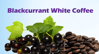 Blackcurrant Beverages 黑醋栗饮料 (4 Types)