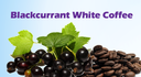 Blackcurrant Beverages 黑醋栗饮料 (4 Types)