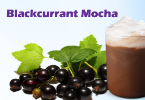 Blackcurrant Beverages 黑醋栗饮料 (4 Types)